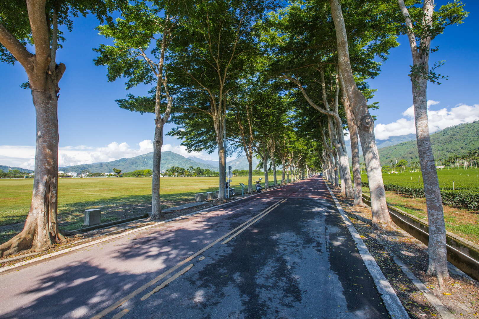龍田自行車步道